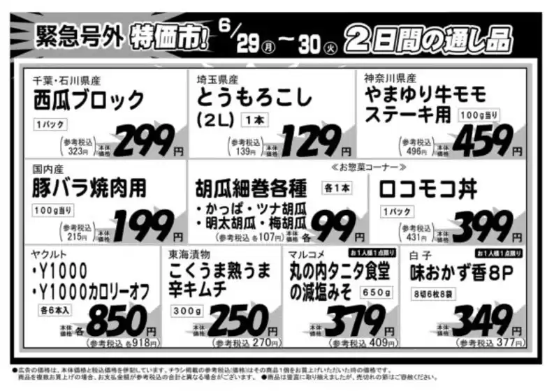 main_flyer image