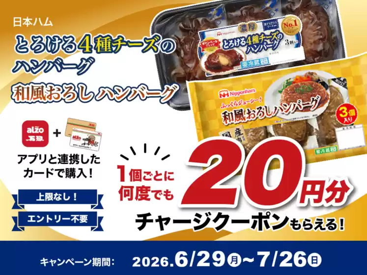 main_flyer image