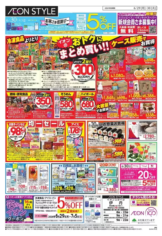 main_flyer image