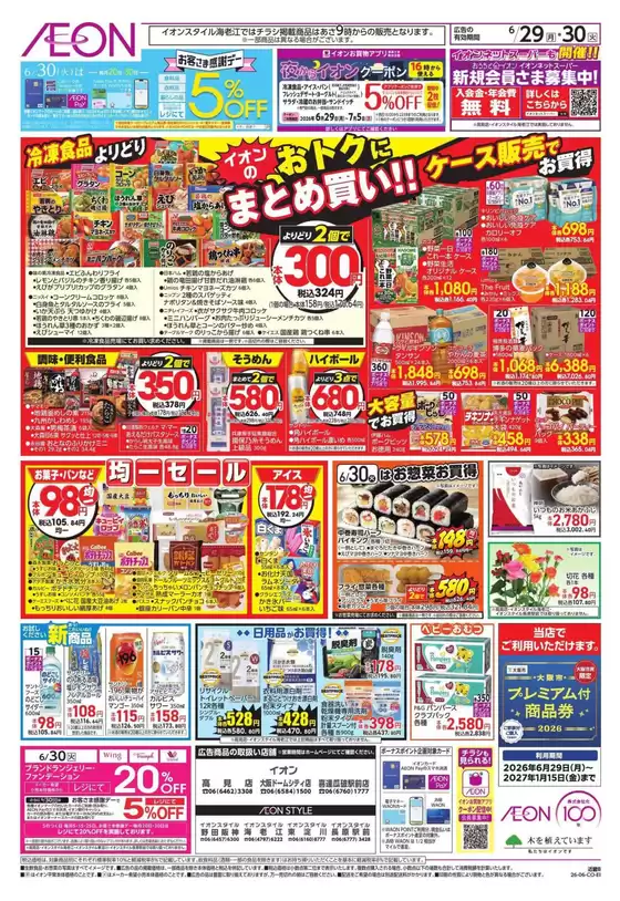 main_flyer image
