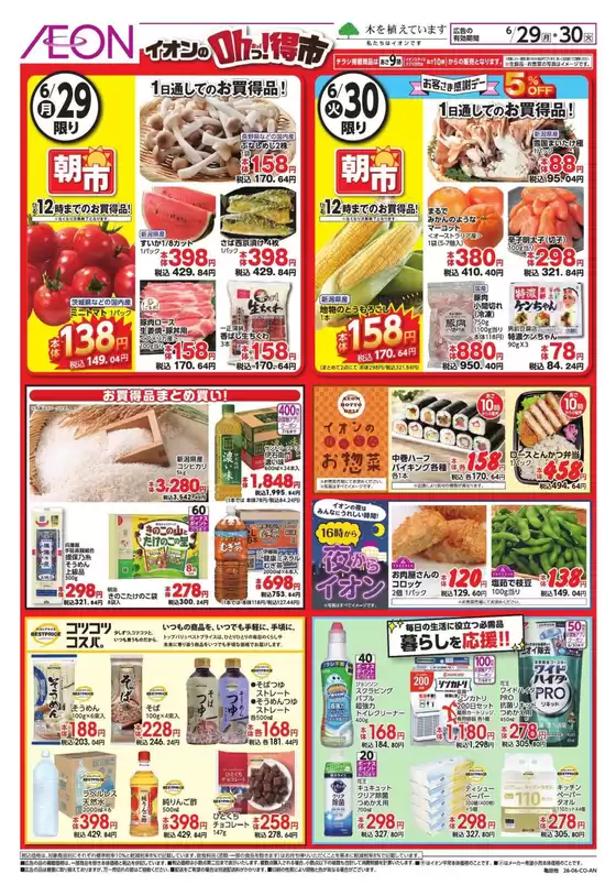 main_flyer image