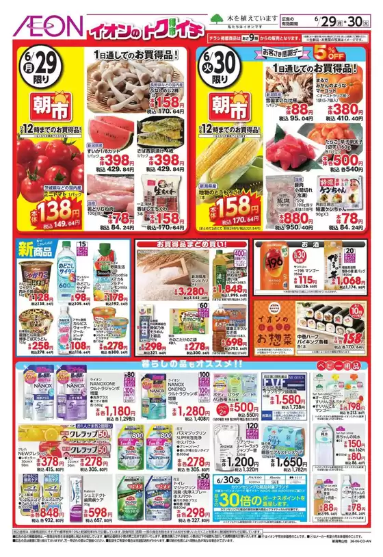 main_flyer image