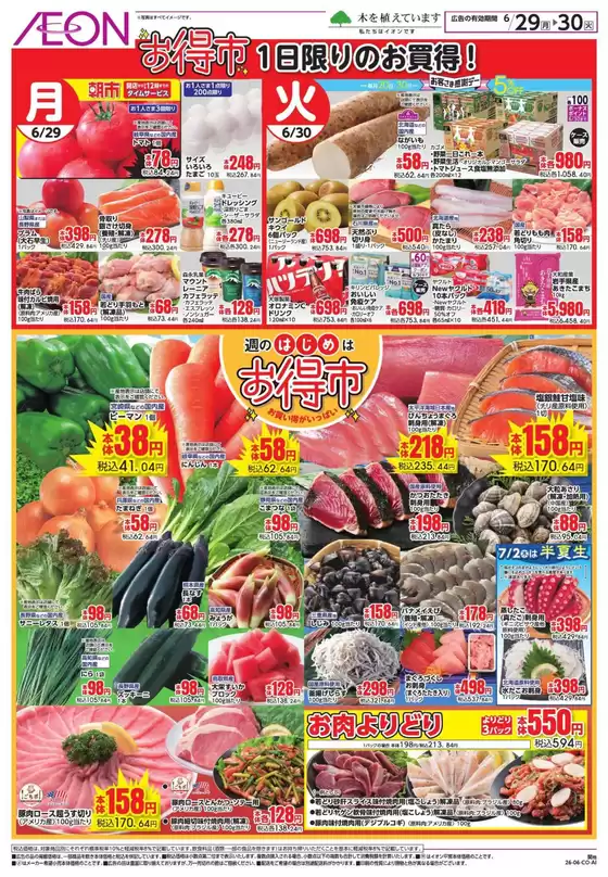 main_flyer image