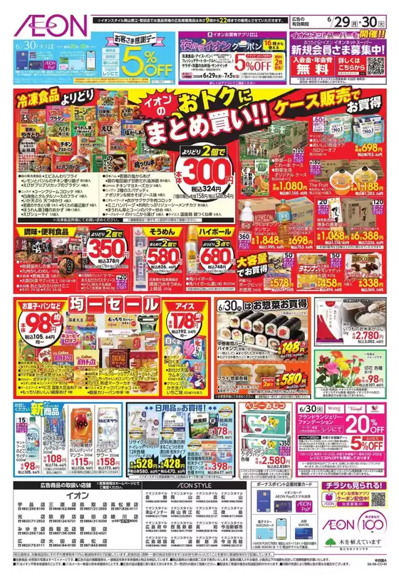main_flyer image