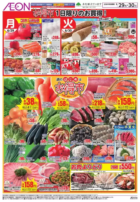 main_flyer image