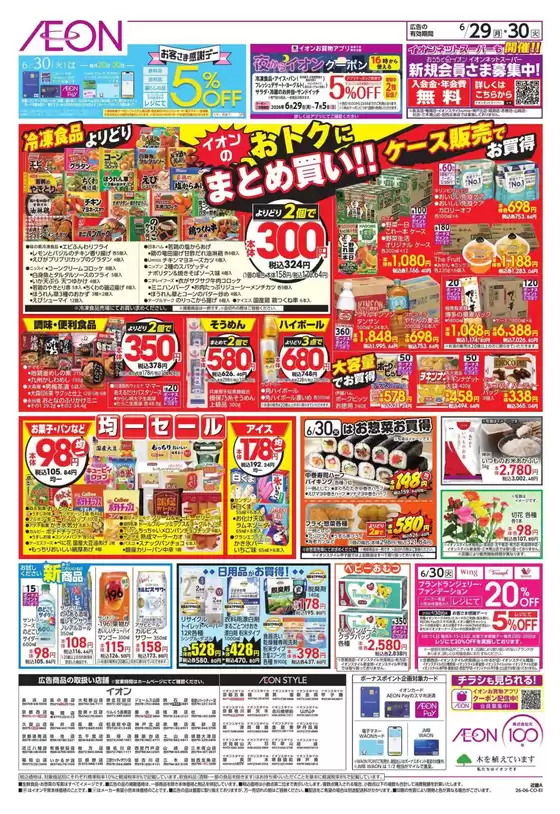 main_flyer image