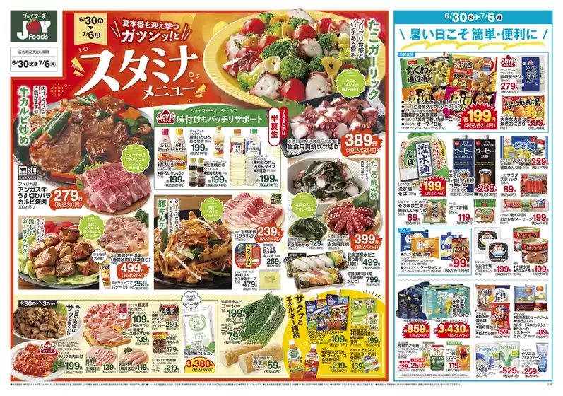 main_flyer image