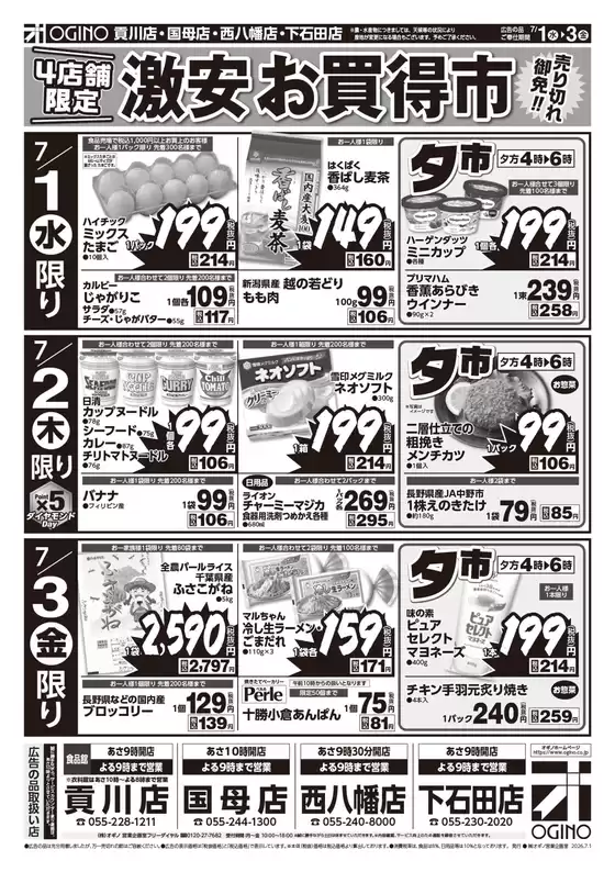 main_flyer image