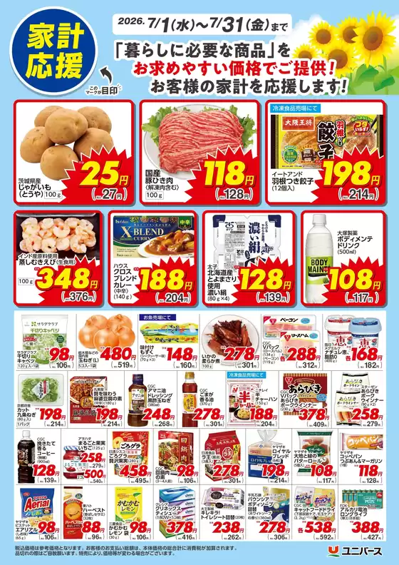 main_flyer image