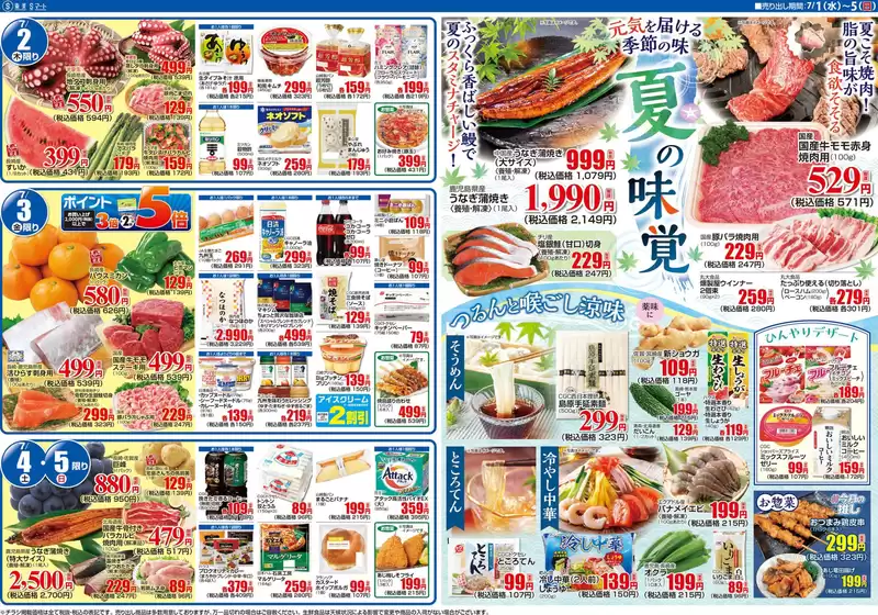 main_flyer image
