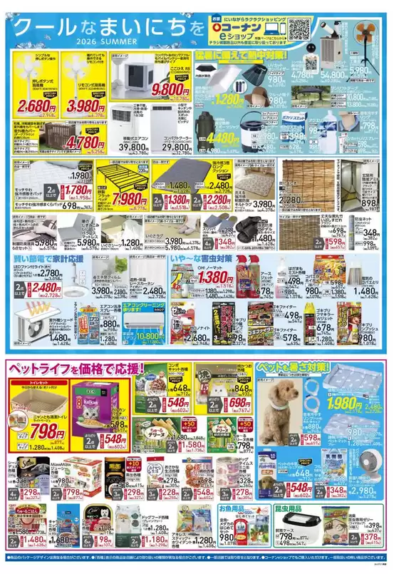 main_flyer image