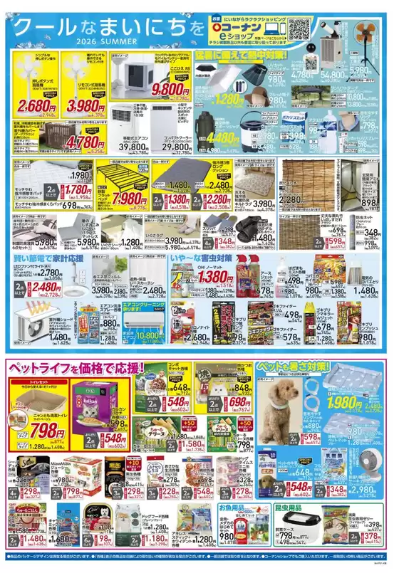 main_flyer image