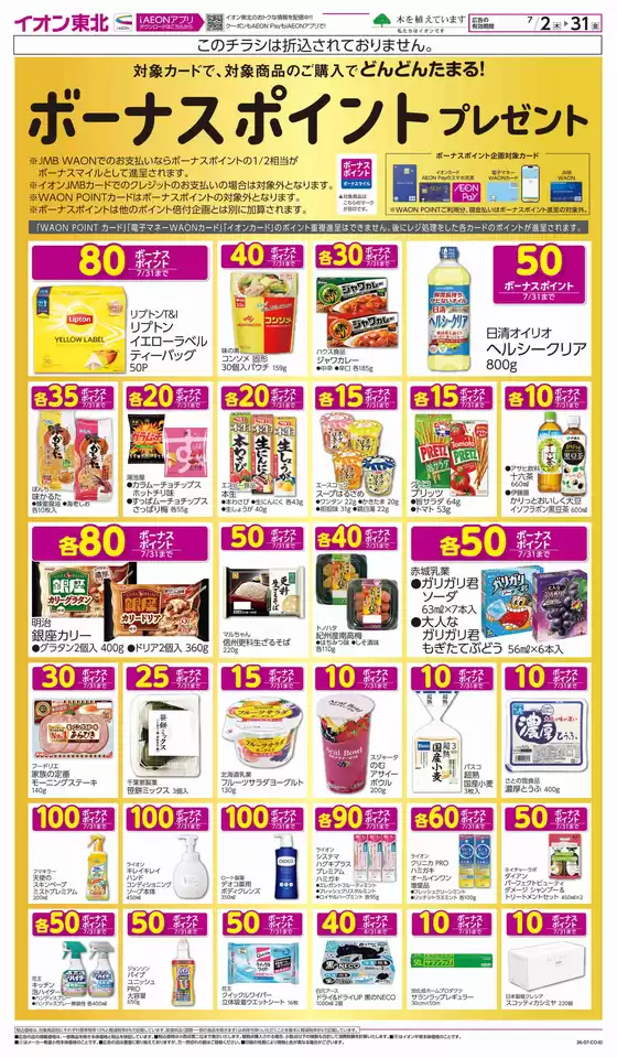 main_flyer image