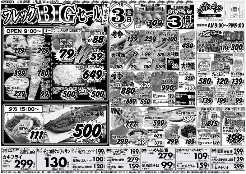 フレック九条のカタログ | フレックBIGセール | 2026-07-03T00:00:00.000Z - 2026-07-03T00:00:00.000Z