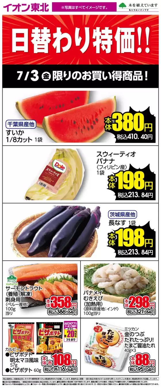main_flyer image
