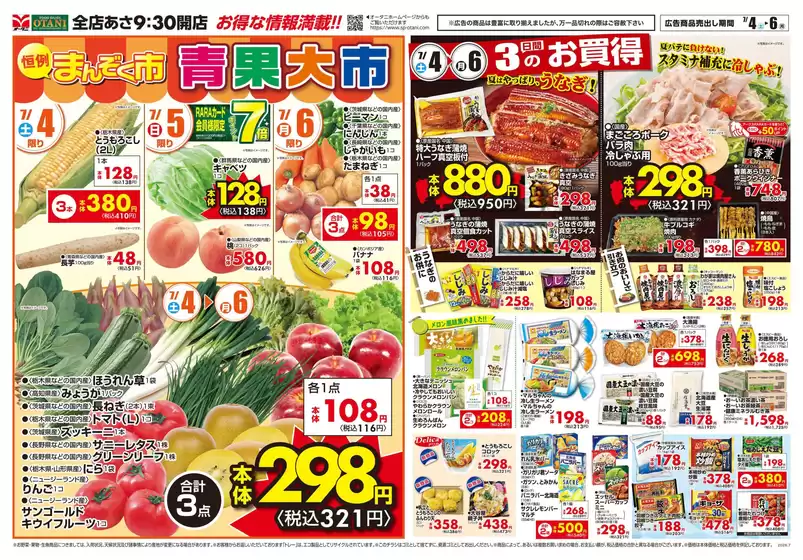 main_flyer image