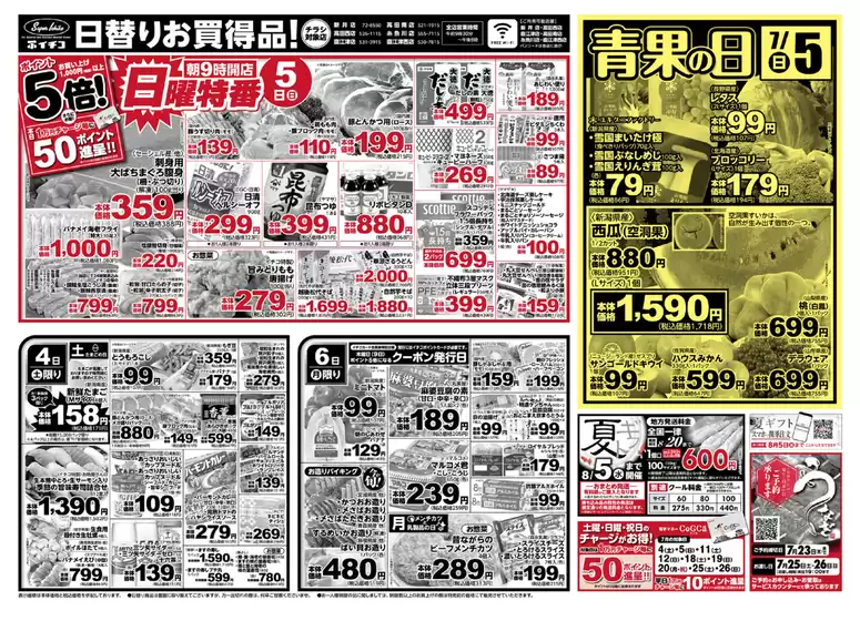 main_flyer image