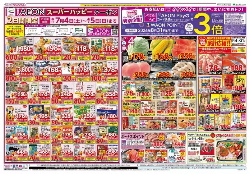 main_flyer image