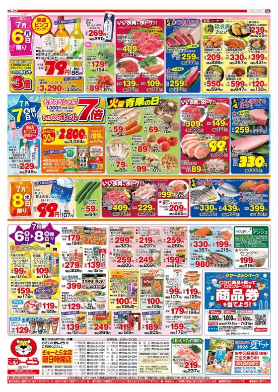 main_flyer image