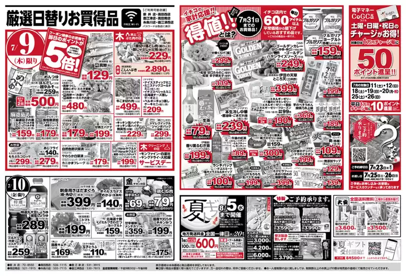 main_flyer image
