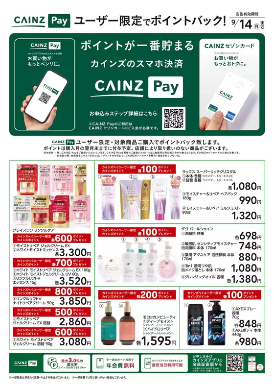 main_flyer image