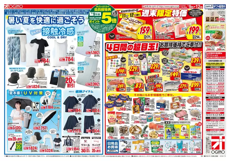 main_flyer image