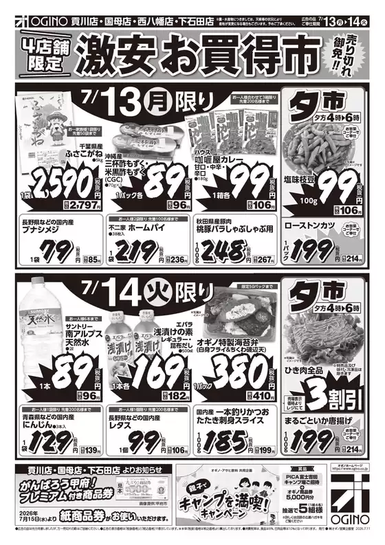main_flyer image