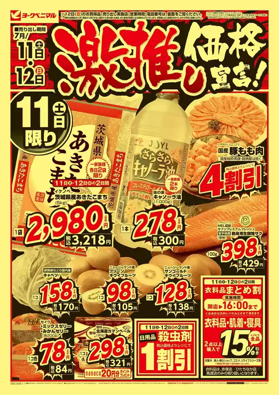 main_flyer image
