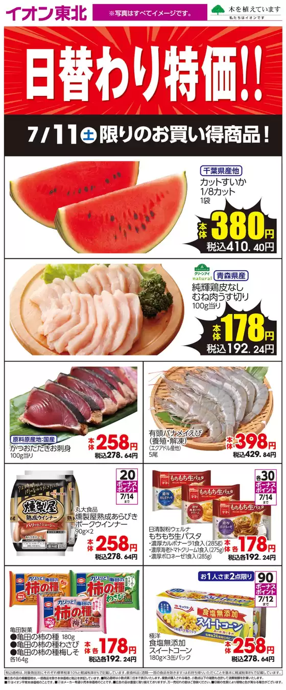 main_flyer image