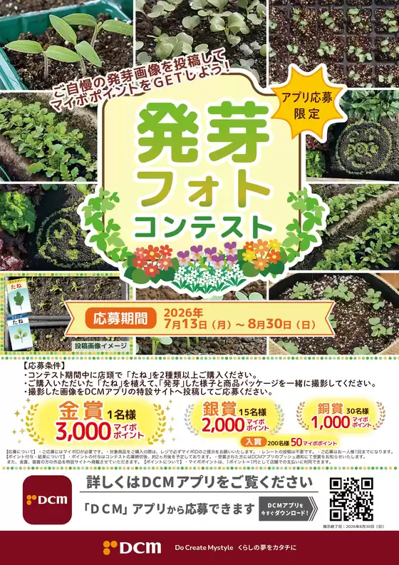 氷見市でのDCMのカタログ | 現在の掘り出し物とオファー | 2026-07-13T00:00:00.000Z - 2026-08-30T00:00:00.000Z