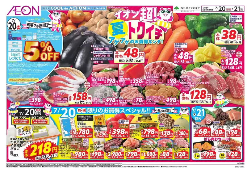 main_flyer image