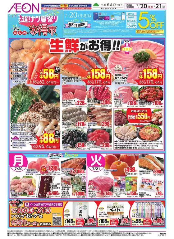 main_flyer image