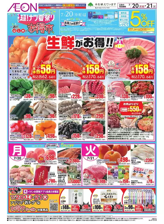 main_flyer image