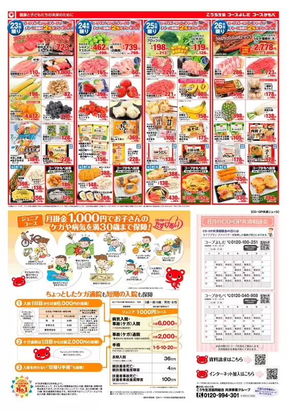 main_flyer image