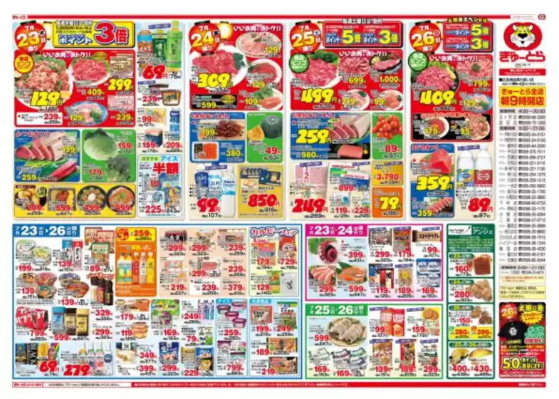 main_flyer image