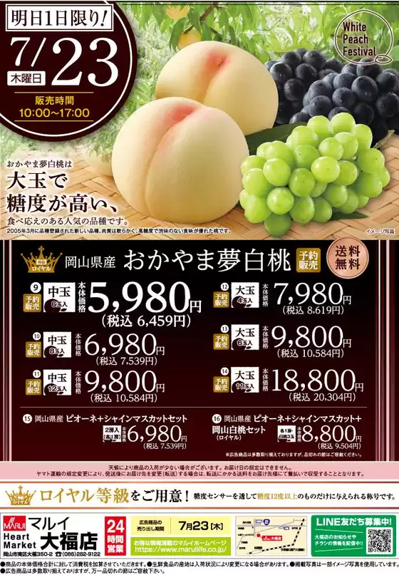 main_flyer image