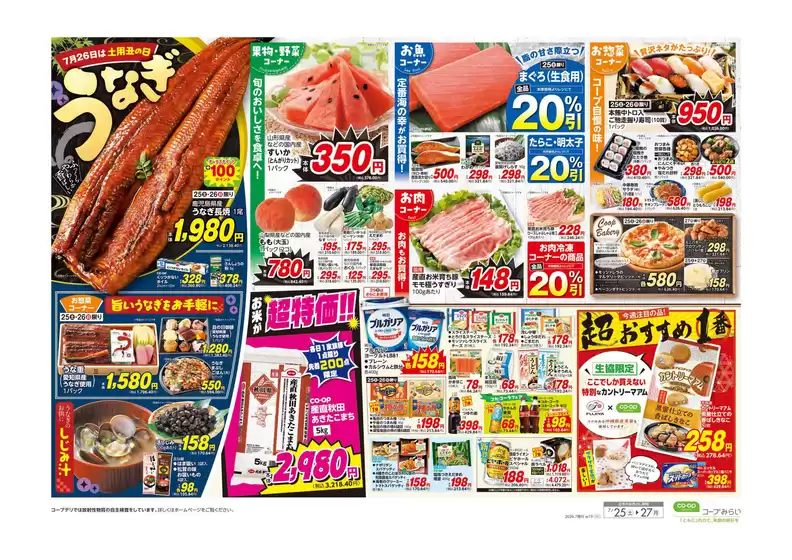 main_flyer image