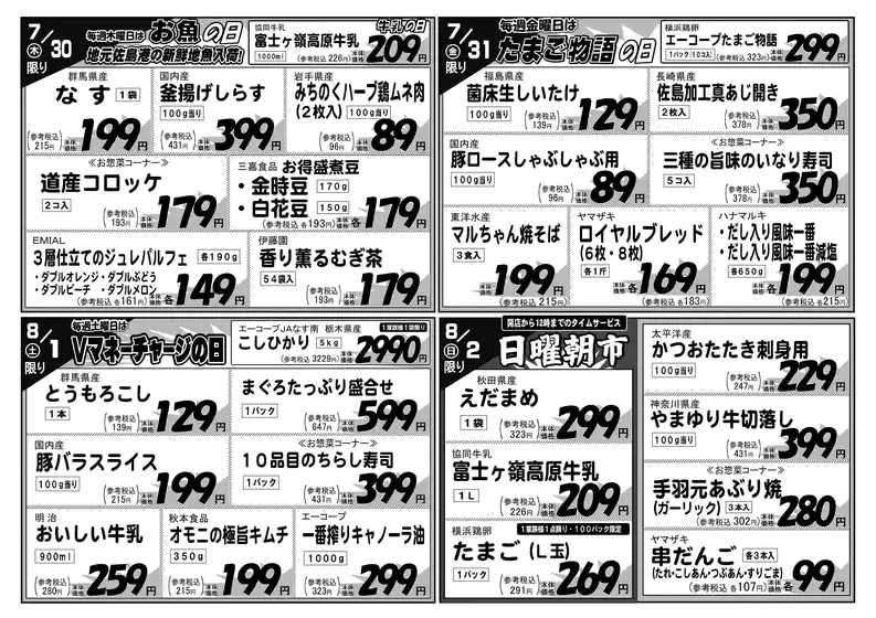 main_flyer image