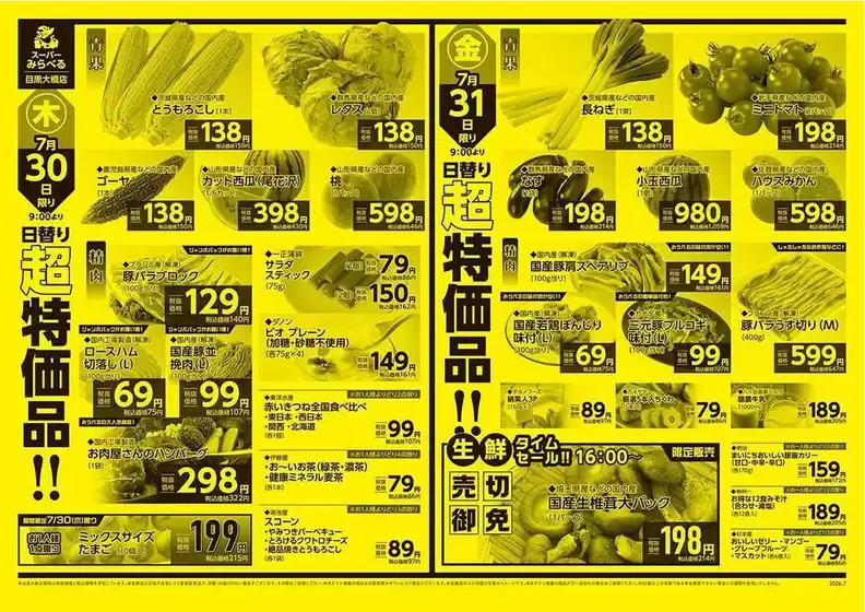 main_flyer image