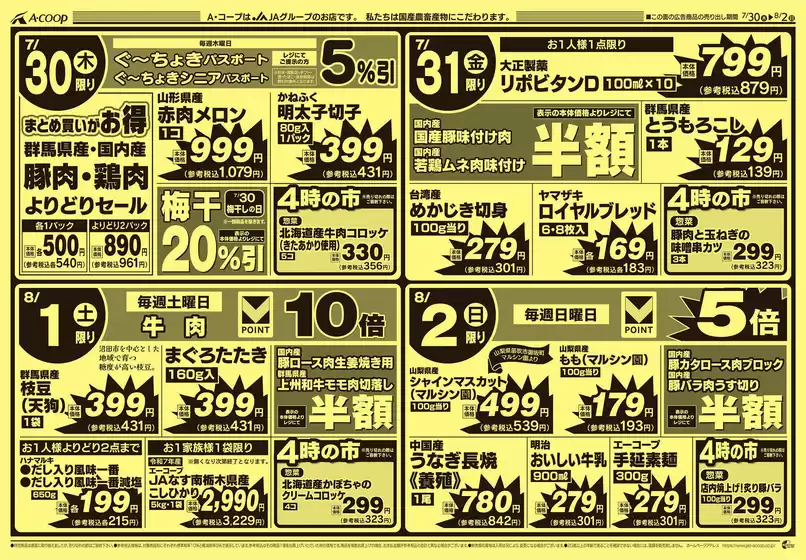 main_flyer image