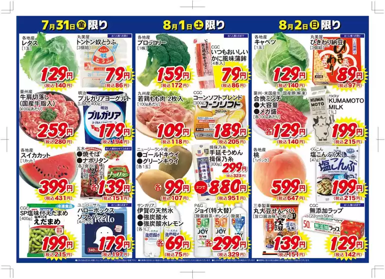 main_flyer image