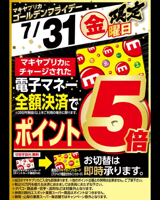 main_flyer image