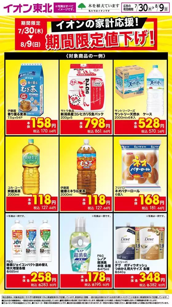 main_flyer image