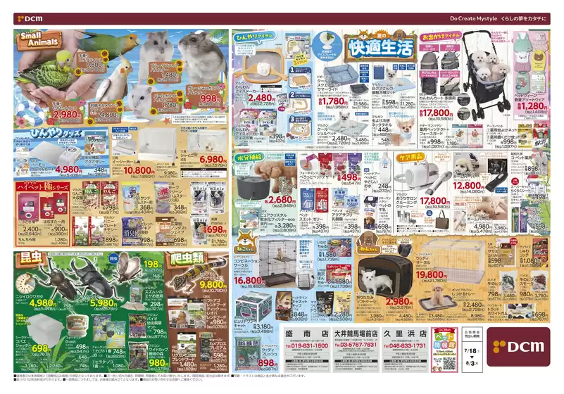 main_flyer image