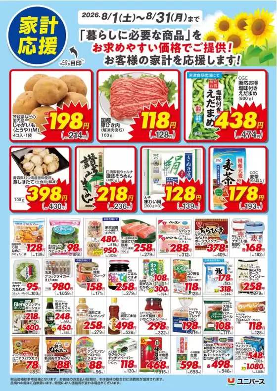 main_flyer image