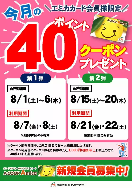 鹿嶋市でのエーコープみやざきのカタログ | 排他的な取引と掘り出し物 | 2026-08-01T00:00:00.000Z - 2026-08-22T00:00:00.000Z