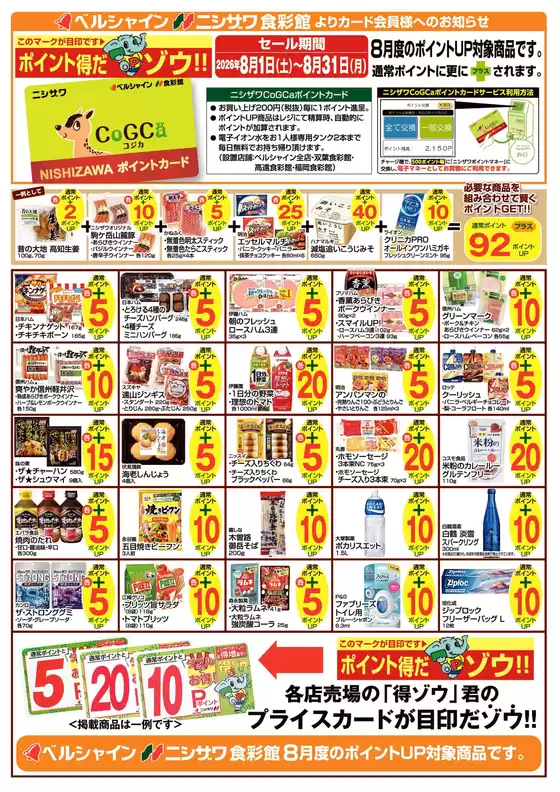 main_flyer image