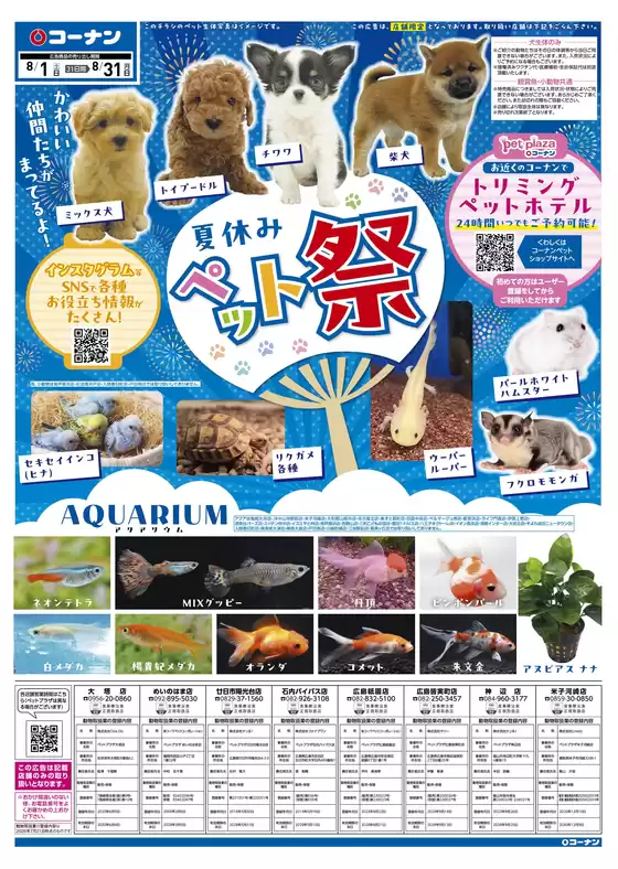 コーナンのカタログ | すべての掘り出し物ハンターのためのトップオファー | 2026-07-31T00:00:00.000Z - 2026-08-31T00:00:00.000Z