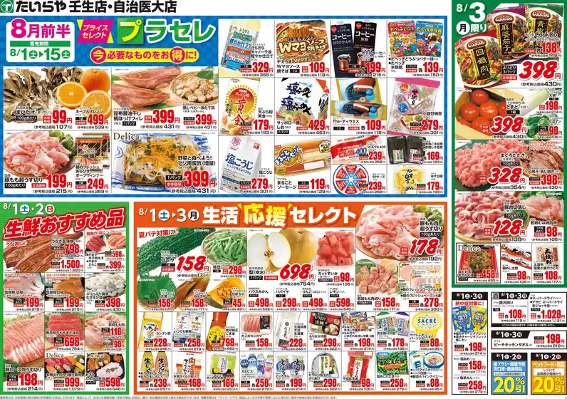 main_flyer image