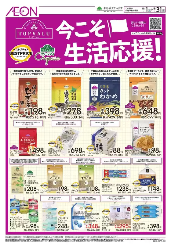 main_flyer image